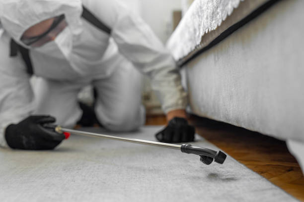 Professional Termite Control technician working in Verona, WI