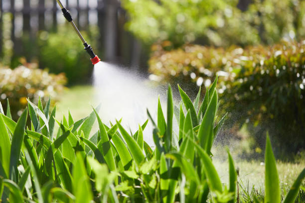 24/7 Emergency Termite Control experts in Verona, WI